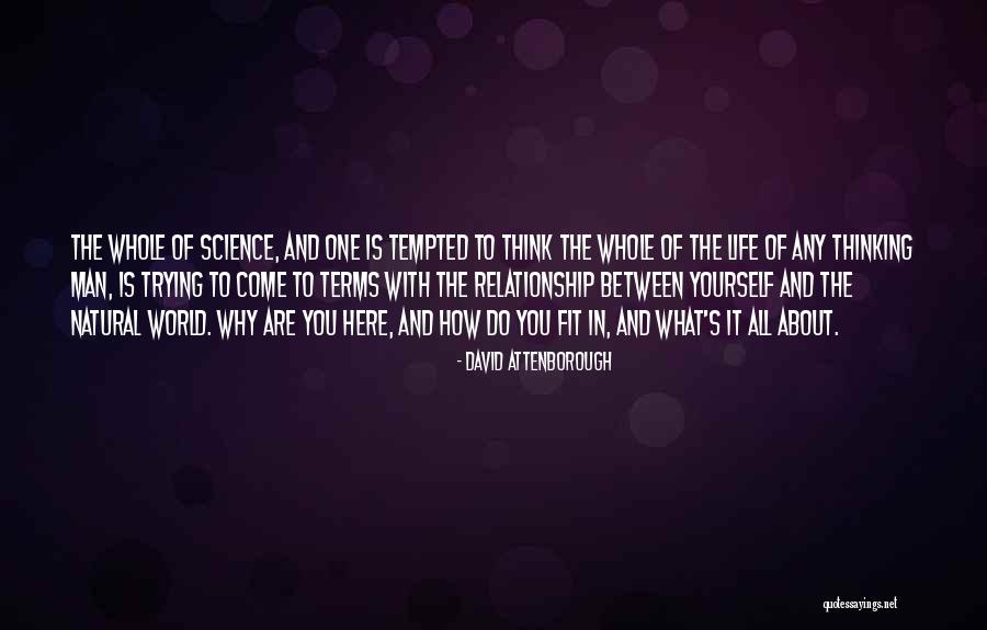 Relationship With Man Quotes By David Attenborough Relationship With Man Quotes By David Attenborough