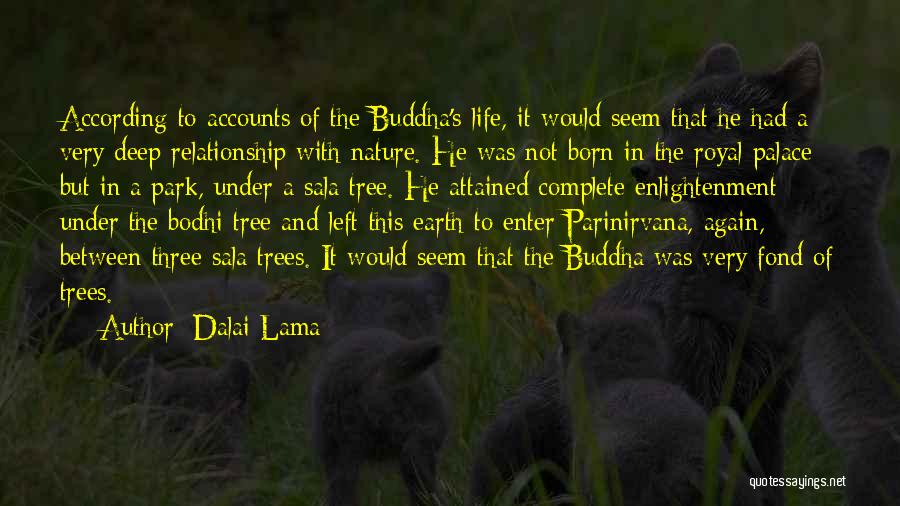 Relationship With Nature Quotes By Dalai Lama