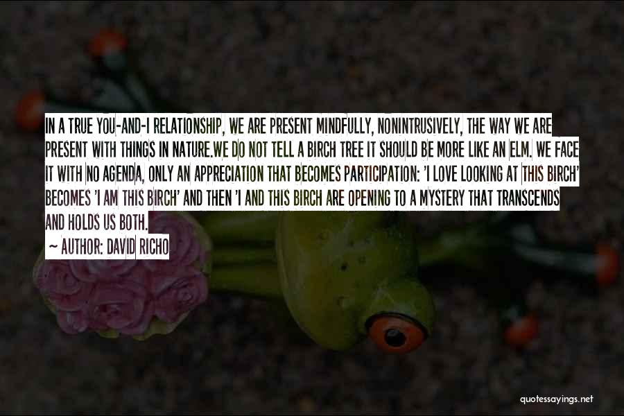 Relationship With Nature Quotes By David Richo