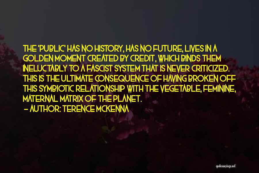 Relationship With No Future Quotes By Terence McKenna