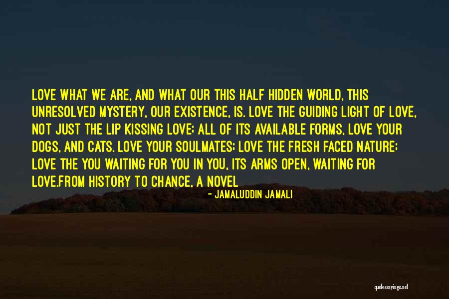 Relationships And Nature Quotes By Jamaluddin Jamali Relationships And Nature Quotes By Jamaluddin Jamali