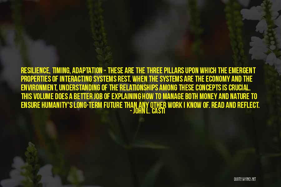 Relationships And Nature Quotes By John L. Casti Relationships And Nature Quotes By John L. Casti