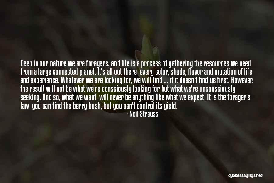 Relationships And Nature Quotes By Neil Strauss Relationships And Nature Quotes By Neil Strauss