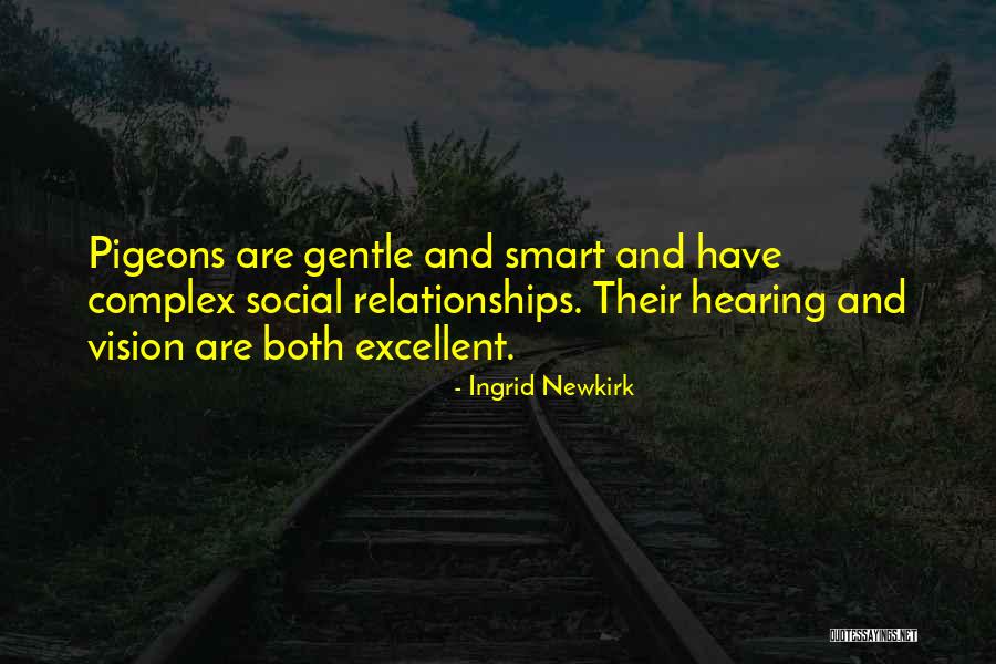 Relationships Are Complex Quotes By Ingrid Newkirk