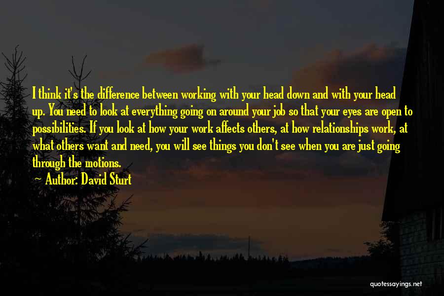 Relationships Need Work Quotes By David Sturt