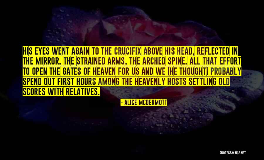 Relatives And Family Quotes By Alice McDermott