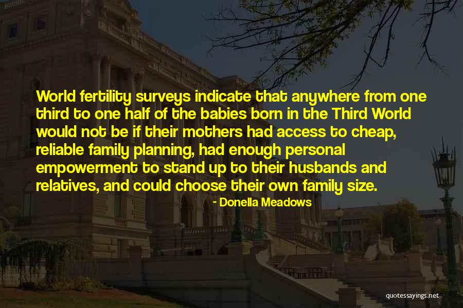 Relatives And Family Quotes By Donella Meadows