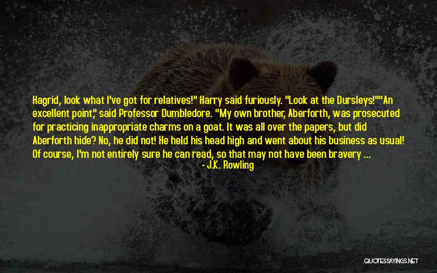 Relatives And Family Quotes By J.K. Rowling