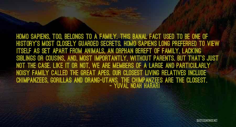 Relatives And Family Quotes By Yuval Noah Harari