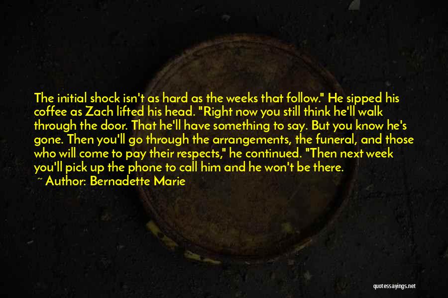 Relativistic Momentum Quotes By Bernadette Marie