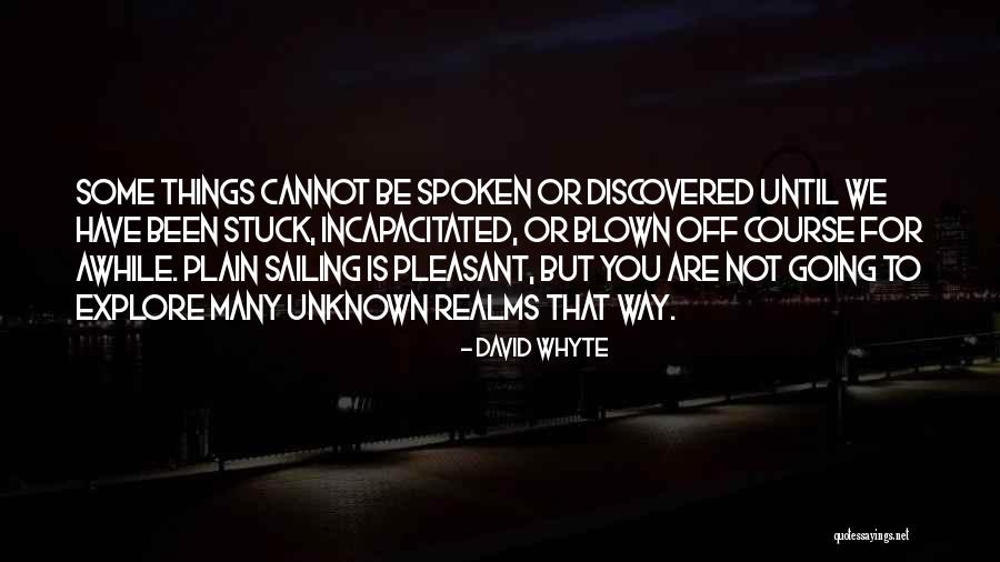 Relatorio Tecnico Quotes By David Whyte Relatorio Tecnico Quotes By David Whyte