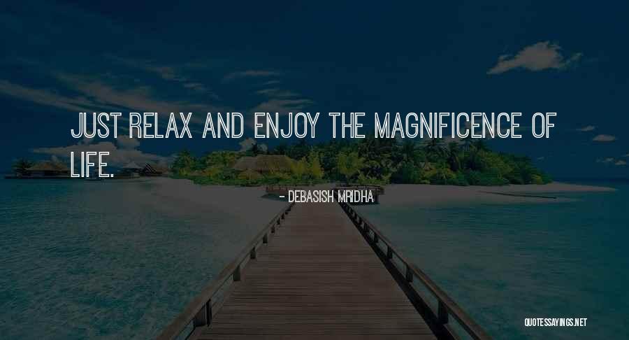Relax And Enjoy Life Quotes By Debasish Mridha