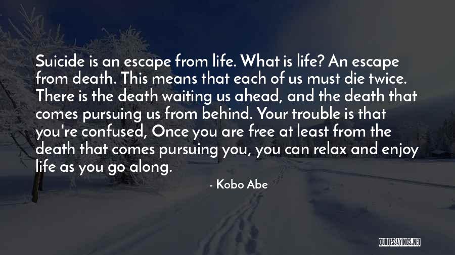 Relax And Enjoy Life Quotes By Kobo Abe