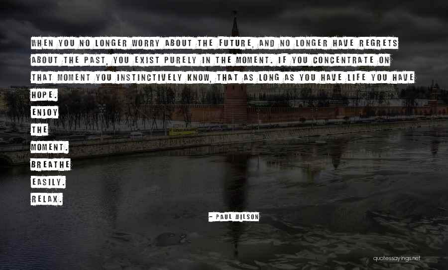 Relax And Enjoy Life Quotes By Paul Wilson