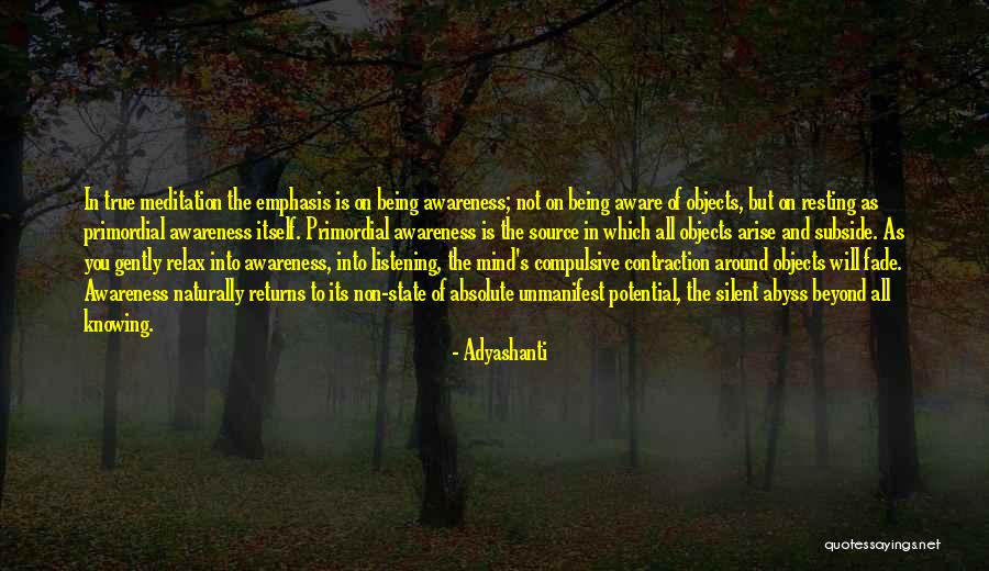 Relax The Mind Quotes By Adyashanti Relax The Mind Quotes By Adyashanti