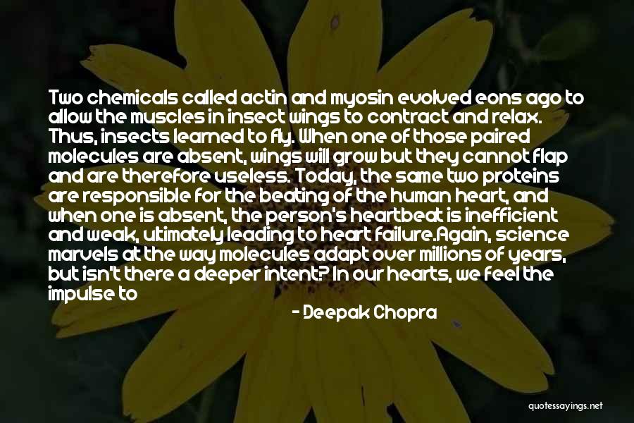 Relax The Mind Quotes By Deepak Chopra Relax The Mind Quotes By Deepak Chopra