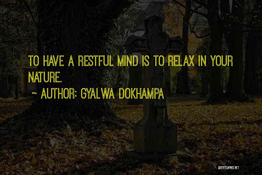 Relax Your Mind Quotes By Gyalwa Dokhampa