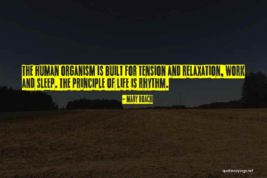 Relaxation Quotes By Mary Roach Relaxation Quotes By Mary Roach