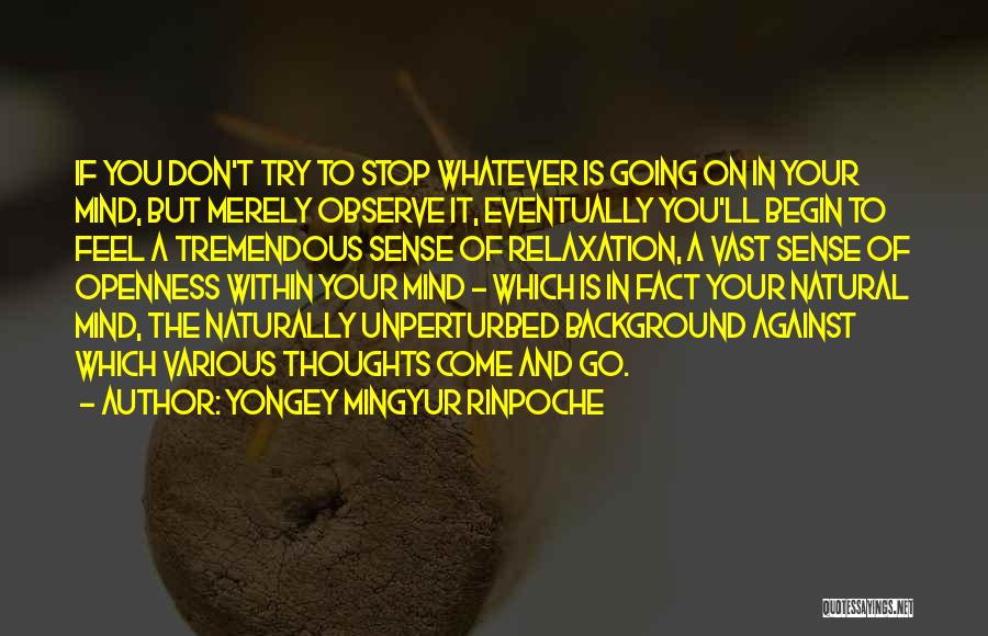 Relaxation Quotes By Yongey Mingyur Rinpoche