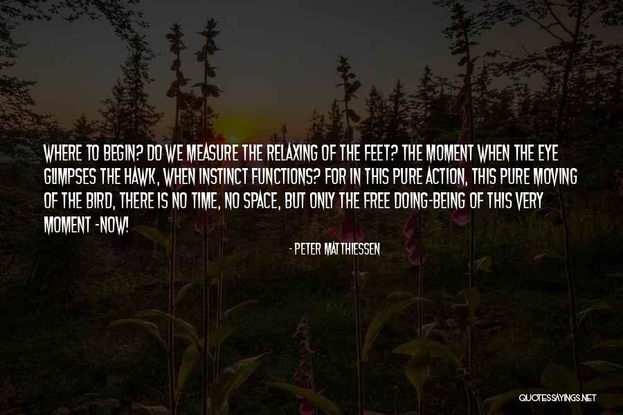 Relaxing Quotes By Peter Matthiessen