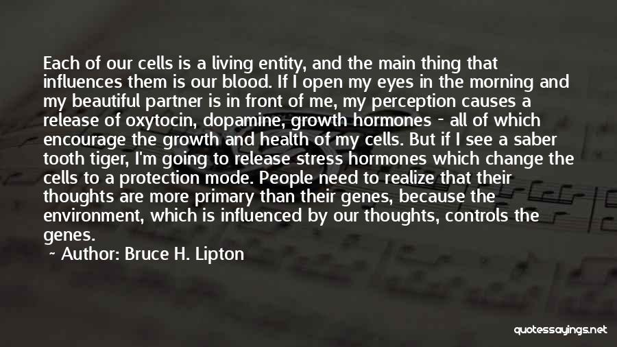 Release Stress Quotes By Bruce H. Lipton