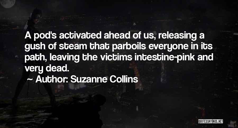 Releasing Quotes By Suzanne Collins