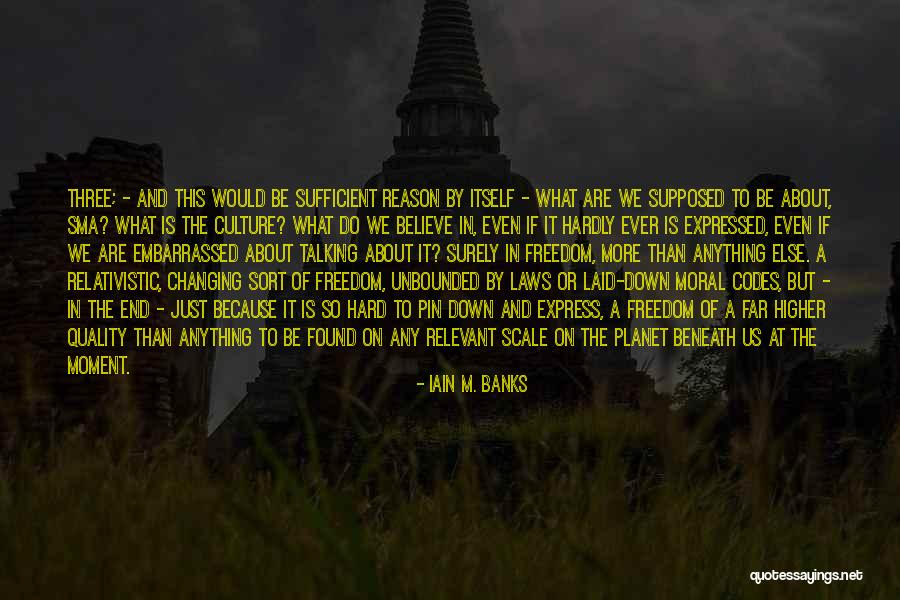 Relevant Quotes By Iain M. Banks