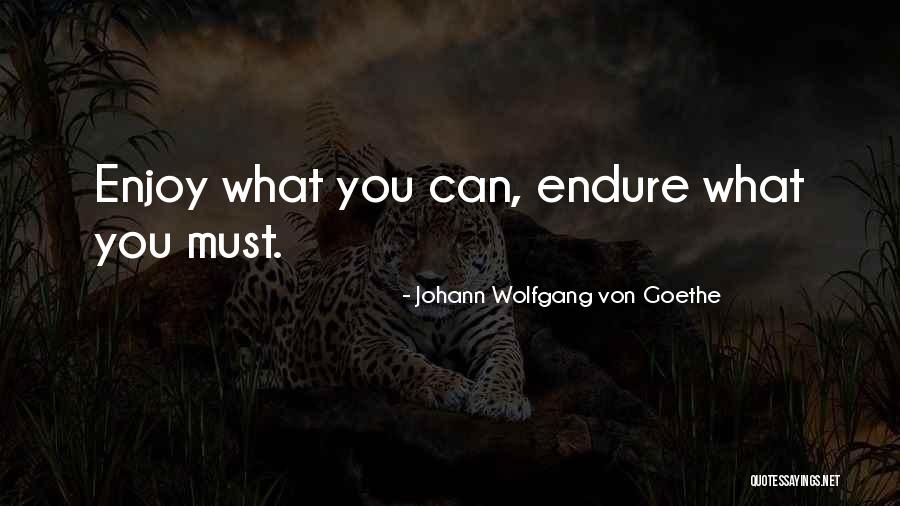 Reliance Of The Traveler Quotes By Johann Wolfgang Von Goethe Reliance Of The Traveler Quotes By Johann Wolfgang Von Goethe