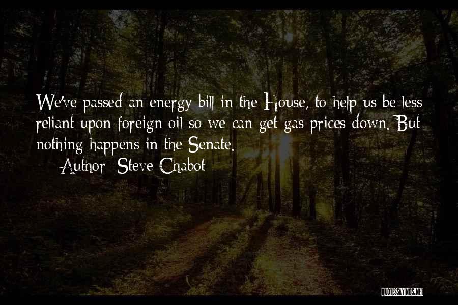 Reliant Energy Quotes By Steve Chabot