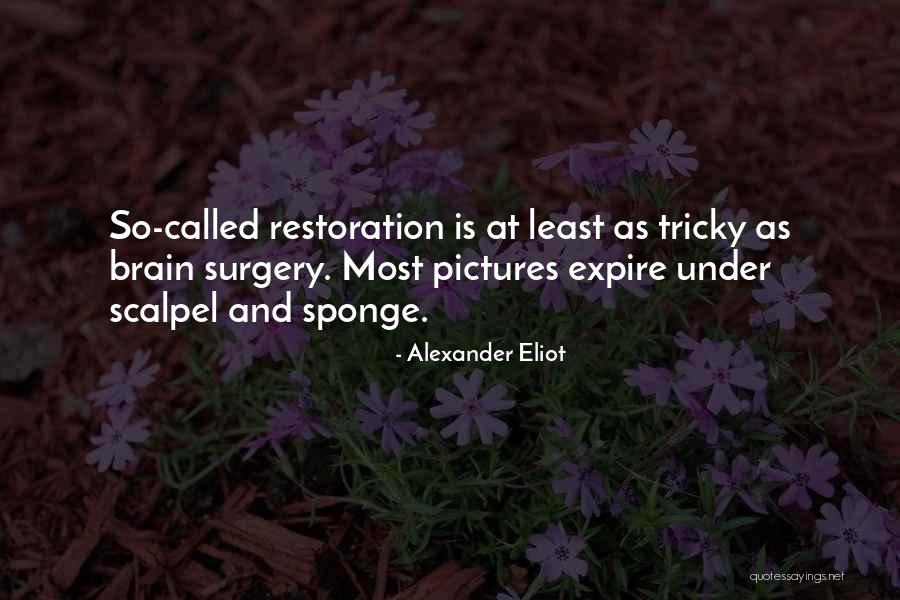Relictum Dicolatin Quotes By Alexander Eliot Relictum Dicolatin Quotes By Alexander Eliot