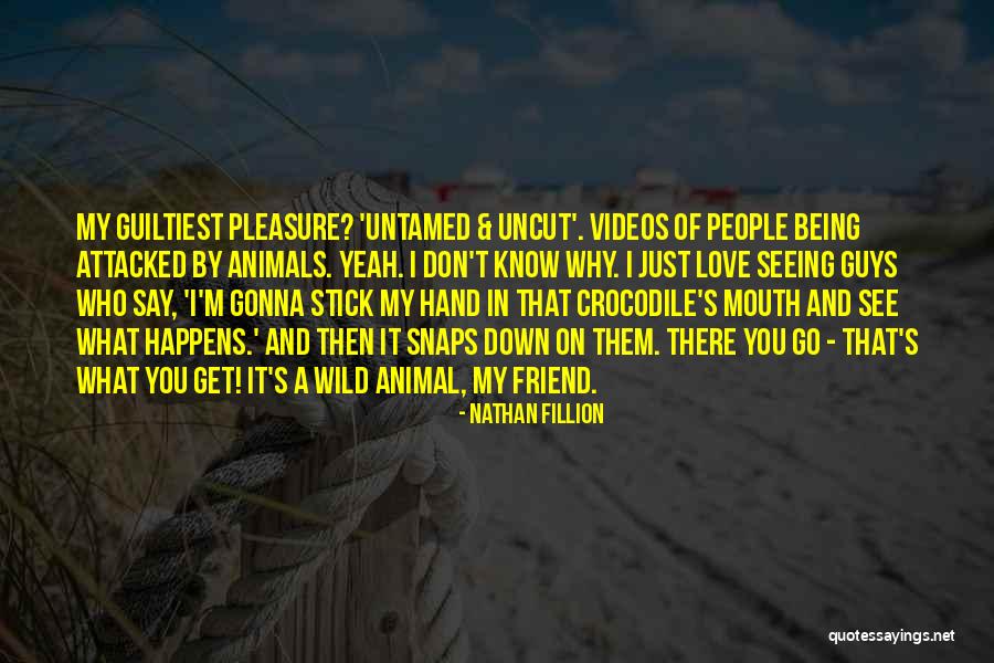 Relief Neuropathy Center Quotes By Nathan Fillion
