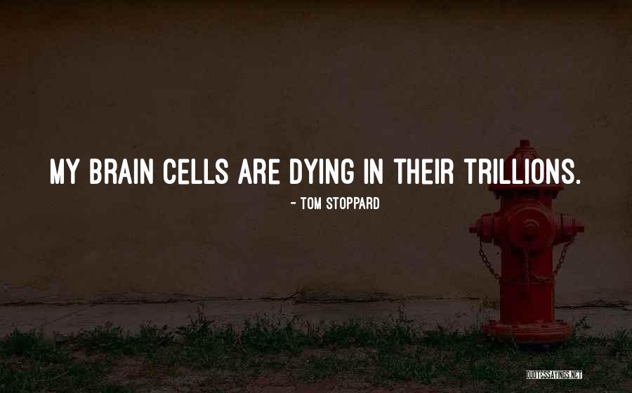 Relief Society Broadcast 2013 Quotes By Tom Stoppard Relief Society Broadcast 2013 Quotes By Tom Stoppard