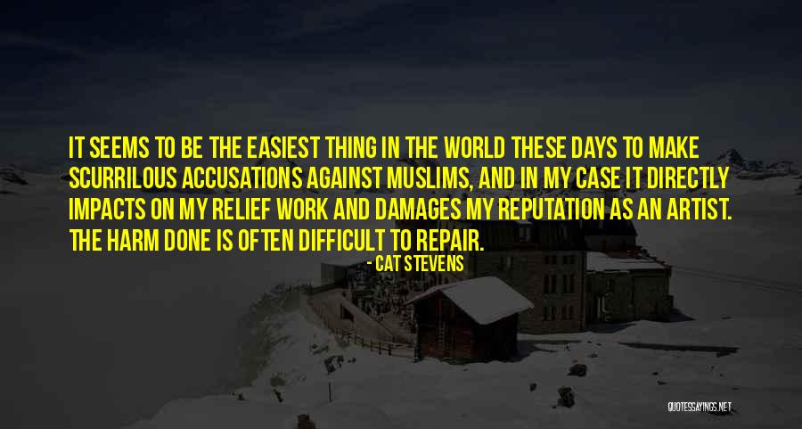 Relief Work Quotes By Cat Stevens