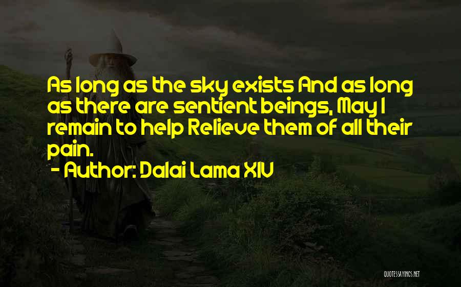 Relieve Pain Quotes By Dalai Lama XIV