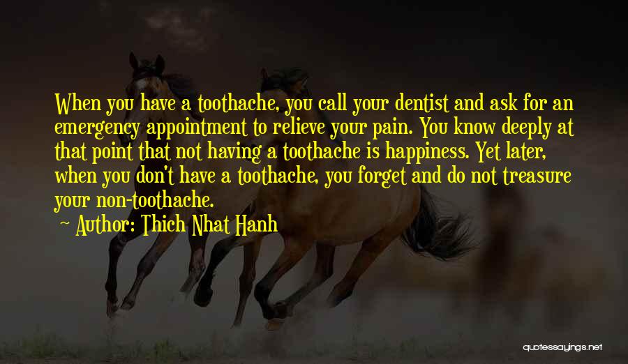 Relieve Pain Quotes By Thich Nhat Hanh