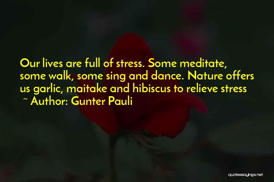 Relieve Stress Quotes By Gunter Pauli
