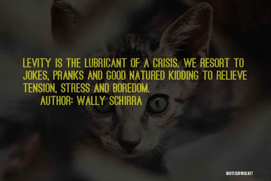 Relieve Stress Quotes By Wally Schirra