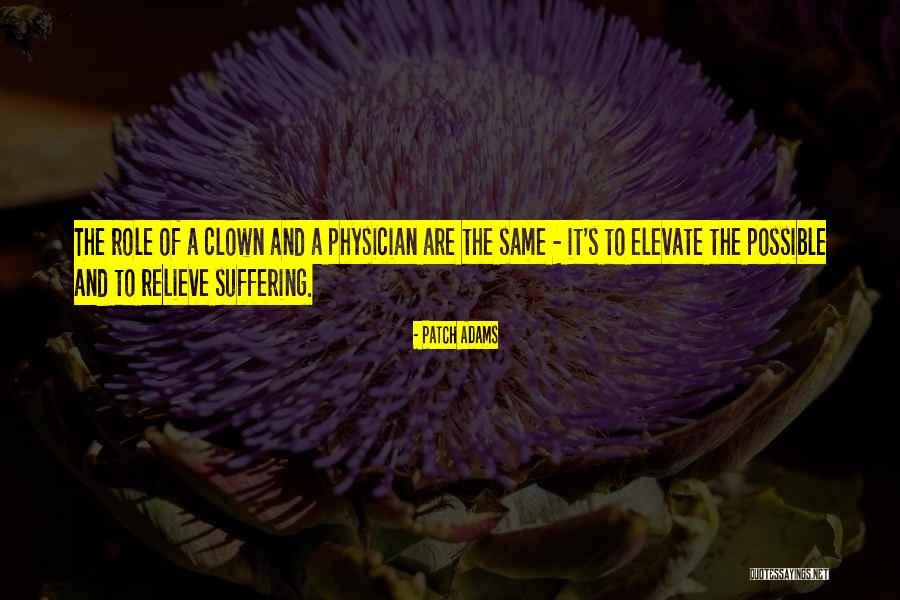 Relieve Suffering Quotes By Patch Adams