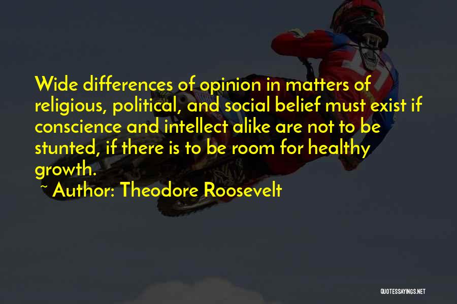 Religious Differences Quotes By Theodore Roosevelt
