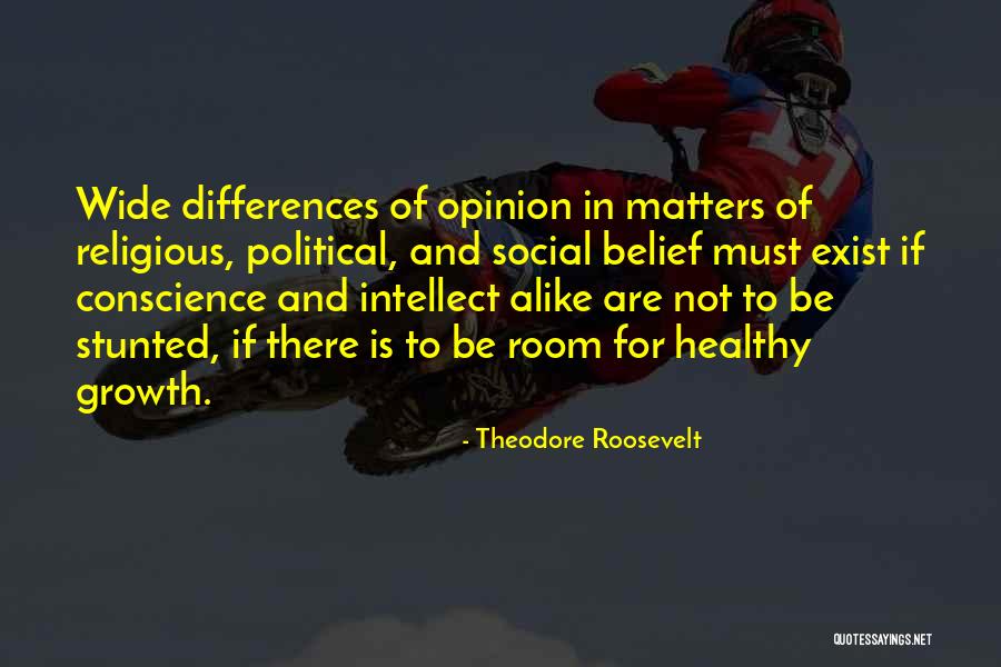 Religious Differences Quotes By Theodore Roosevelt