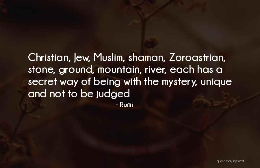 Religious Diversity Quotes By Rumi