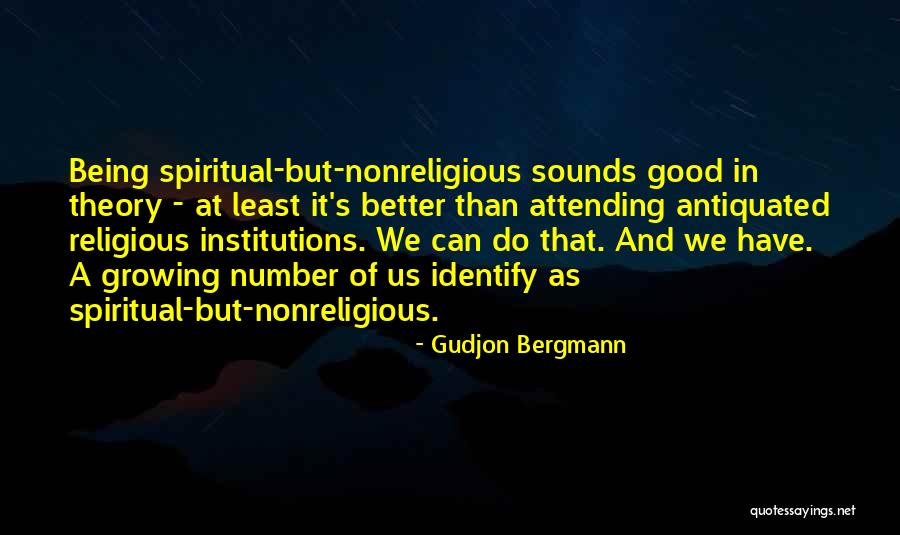 Religious Institutions Quotes By Gudjon Bergmann