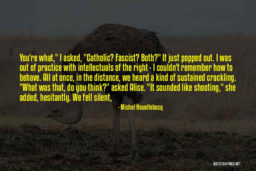 Relink Bitmaps Quotes By Michel Houellebecq Relink Bitmaps Quotes By Michel Houellebecq