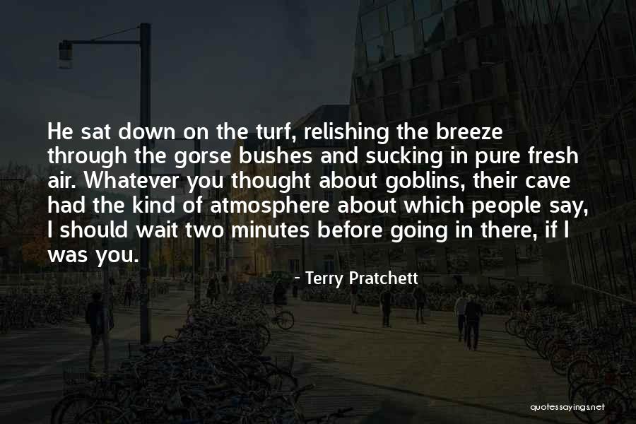 Relishing Quotes By Terry Pratchett