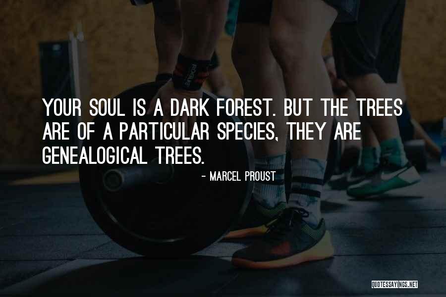 Rellama Per Koncerte Quotes By Marcel Proust Rellama Per Koncerte Quotes By Marcel Proust