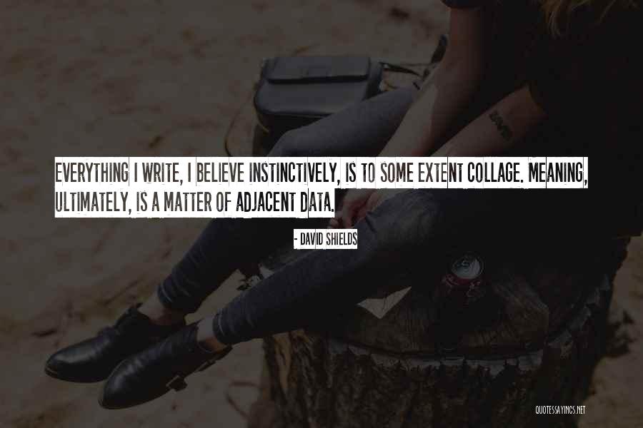 Reloader 26 Quotes By David Shields Reloader 26 Quotes By David Shields
