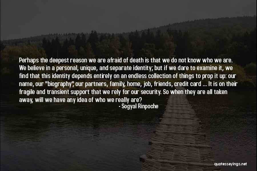 Rely On Family Quotes By Sogyal Rinpoche Rely On Family Quotes By Sogyal Rinpoche
