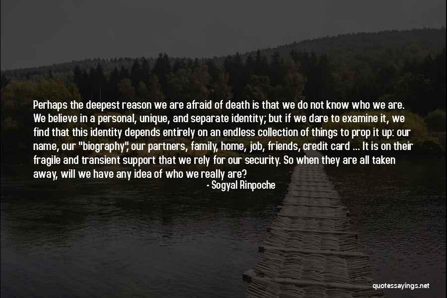 Rely On Family Quotes By Sogyal Rinpoche