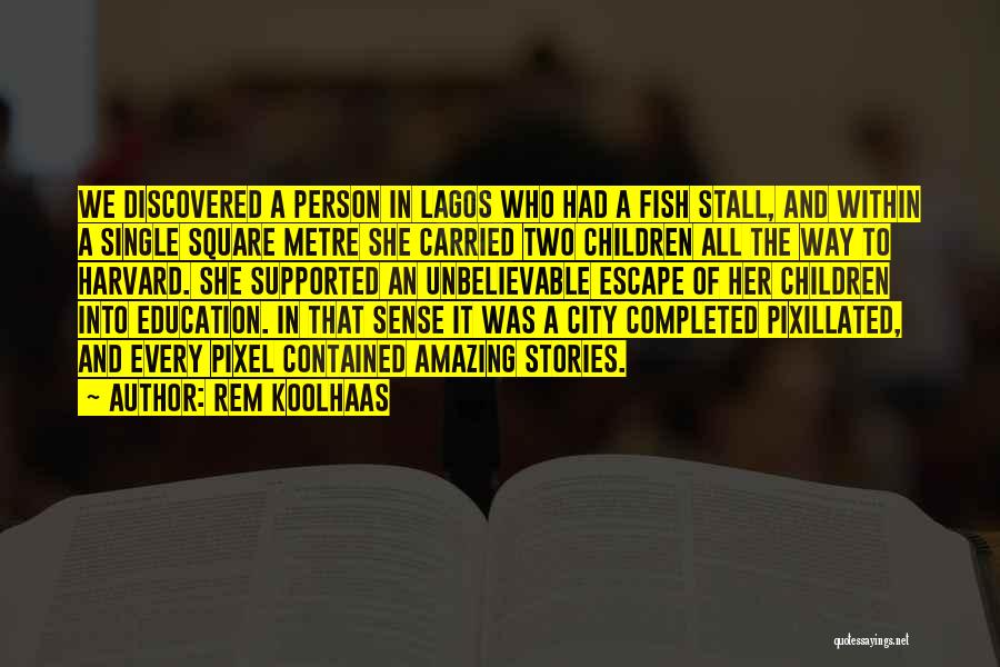 Rem Koolhaas Quotes 1918432