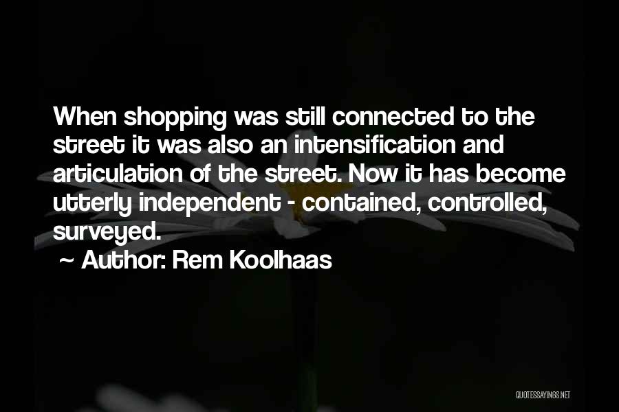 Rem Koolhaas Quotes 2010593